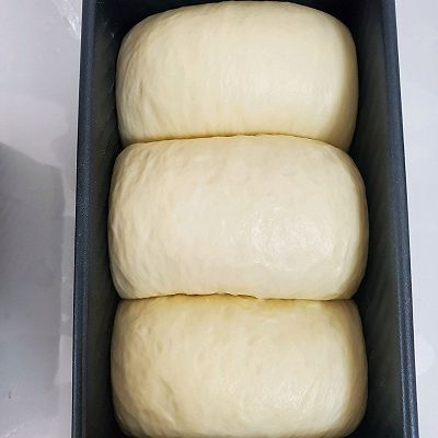 中种咸味白吐司