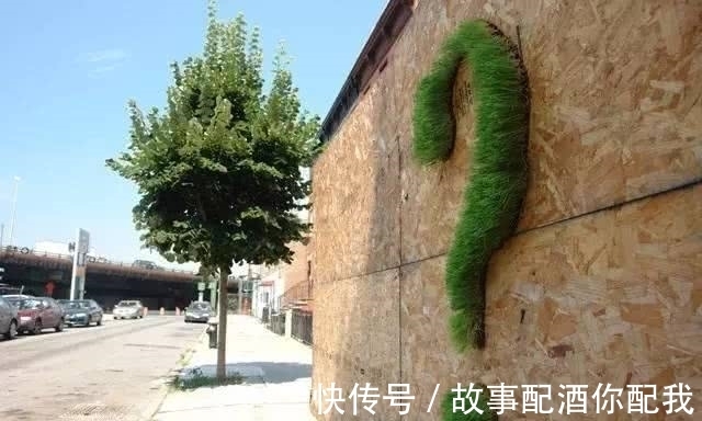 在乎你&他用酸奶、啤酒、苔藓把动物养在墙上,14天后的画面让人惊讶