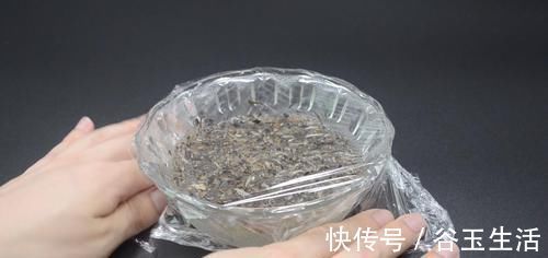 茶叶放白醋里泡一泡,真是厉害了,解决家家都困扰的烦恼,太棒了