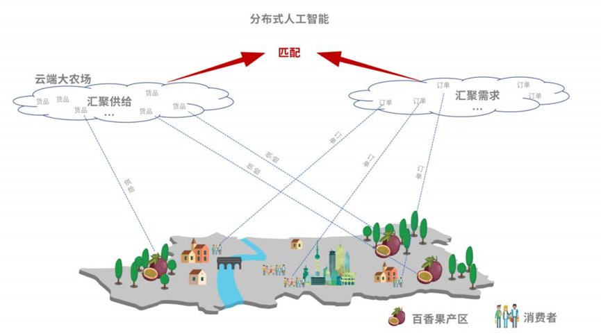 乡村|扎根乡土，农村电商成为新一代的＂务农人＂