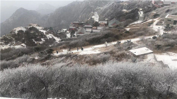 降雪|泰山迎来2022年首场降雪