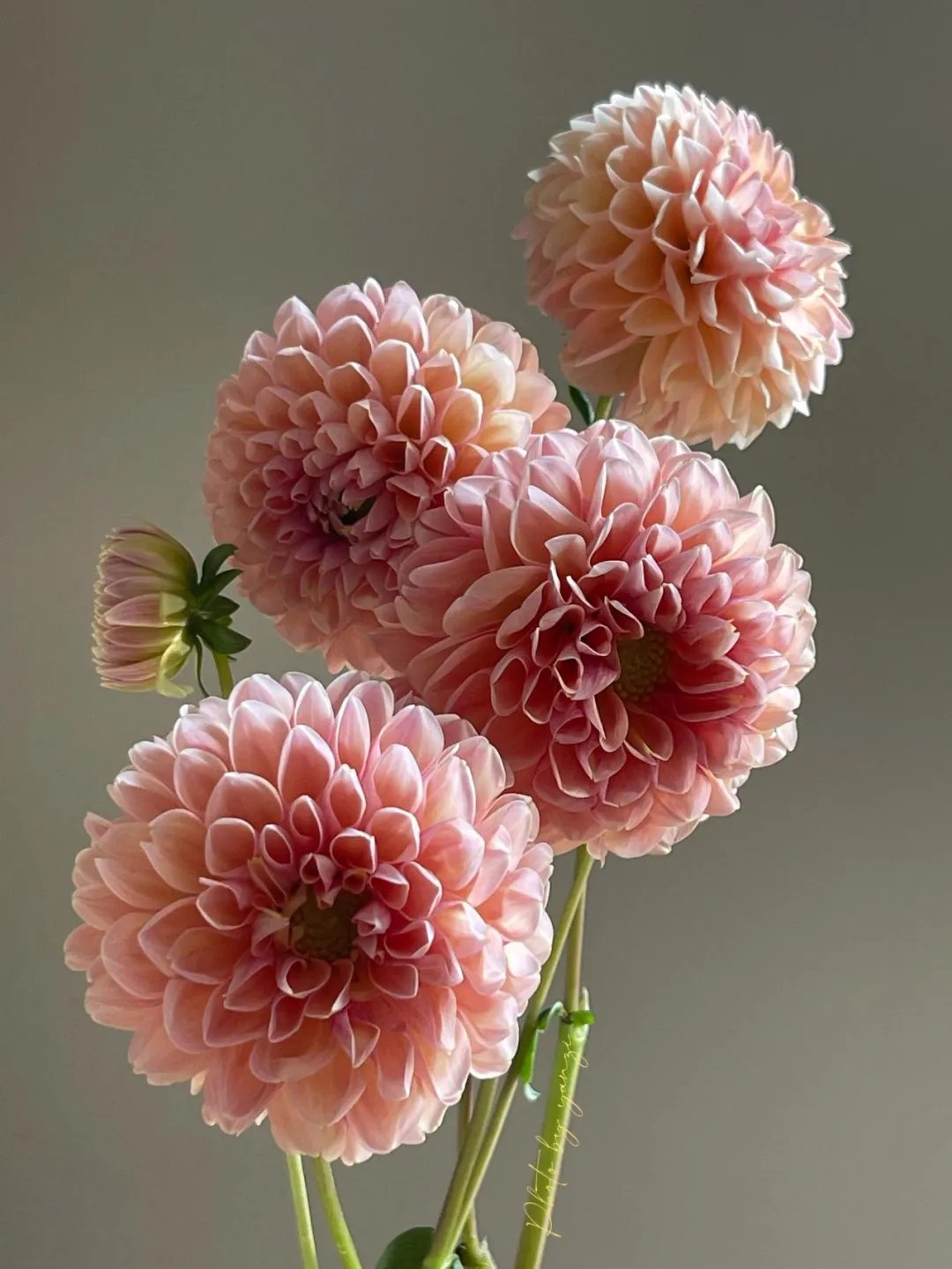 别舍弟宗一！30首经典数字诗，一首一个名句，让人拍案叫绝