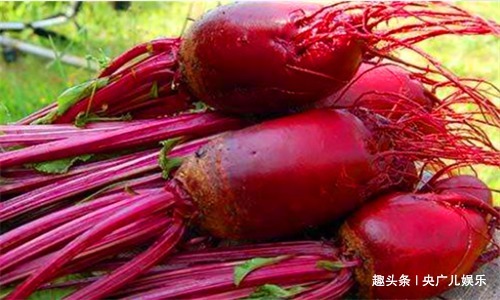 青枣|女性想要保持年轻,常吃4种食物,滋养肌肤,促进子宫排毒