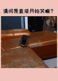 |搞笑GIF:千军万马,这个是真惹不起!