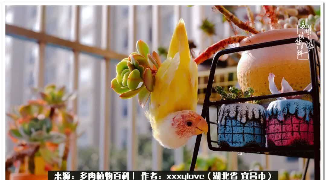 时光匆匆,一闪而逝,这世间万物的美,都值得被记录!