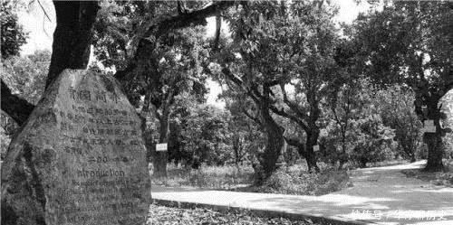 道士|他是古代著名道士,却把他名字作为城市名,如今此地几乎都是富豪