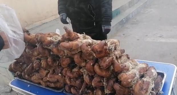 大叔起早贪黑卖“它”,20元一只,半天卖不出,内行人直接买五只