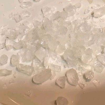 杏鲍菇烧排骨|杏鲍菇烧排骨