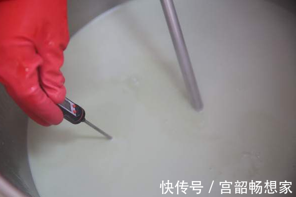 黄豆|一把黄豆一杯醋,教你自制豆腐,做法简单无添加,比买的更放心