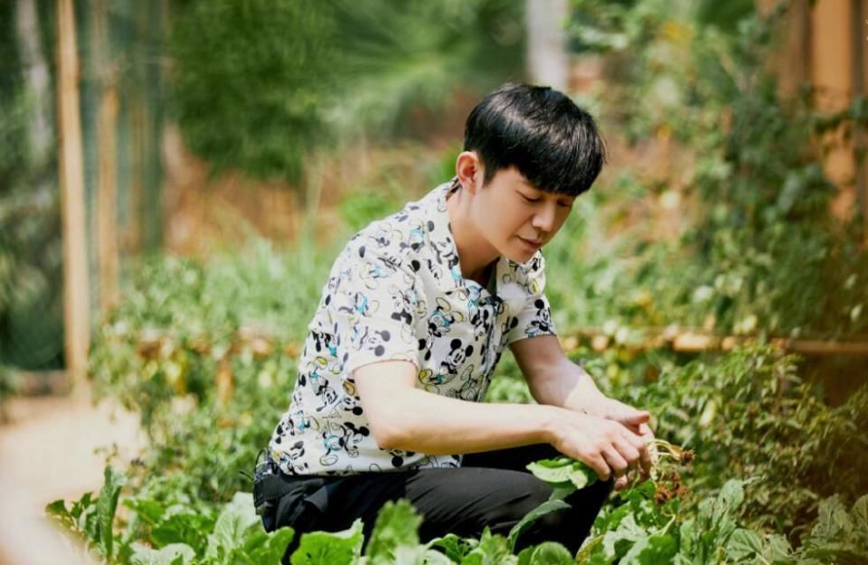 向往生活 陶虹,最不该出现在蘑菇屋的人,但却是黄磊最喜欢接待的人