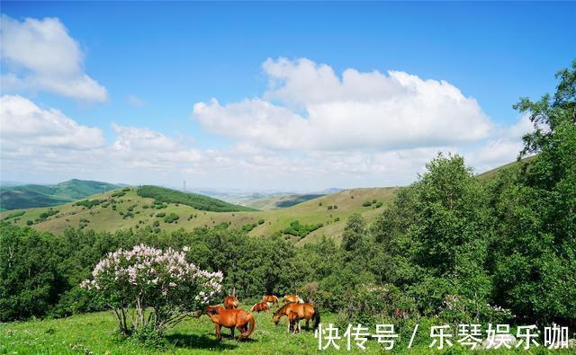 马儿|中国避暑的首选目的地，自驾爱好者的天堂，一路风景如画