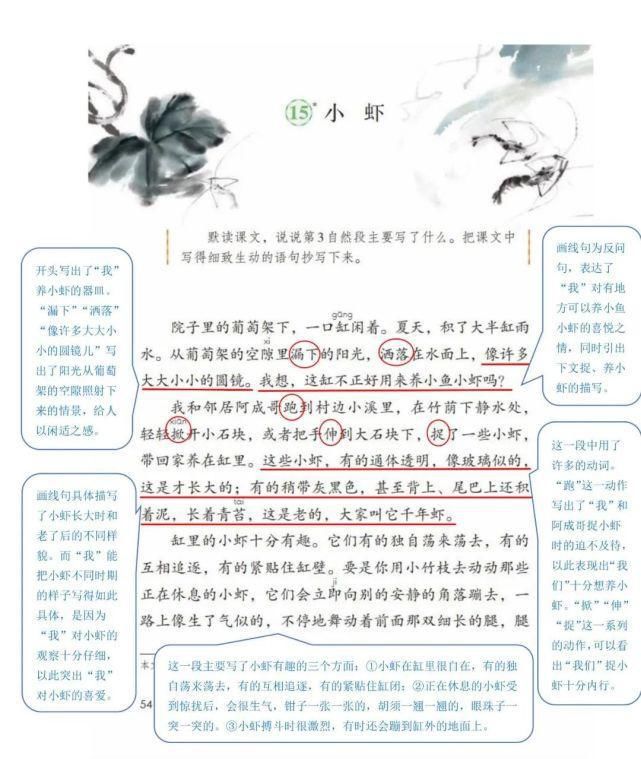 语文三年级（下册）课堂笔记