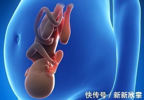 怀孕|怀孕10个月辛苦“倒立”的胎儿也不轻松,为啥娃要大头朝下