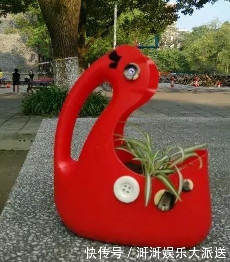 洗衣液|家中用完的“洗衣液桶”别丢了，剪上2刀，秒变养花神器，太美了