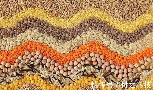 排便|治便秘先观察便便!4款茶饮对症下药便秘不再来