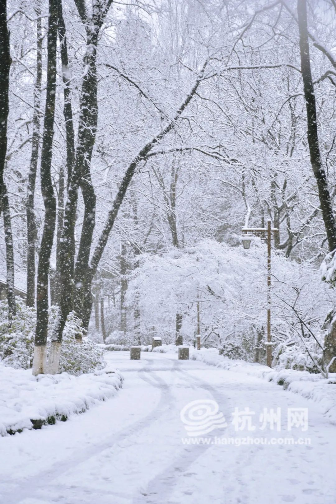 冰雪|今天刷屏的鹅毛大雪十年未见？明早起来能看到冰雪杭城吗？气象台回应