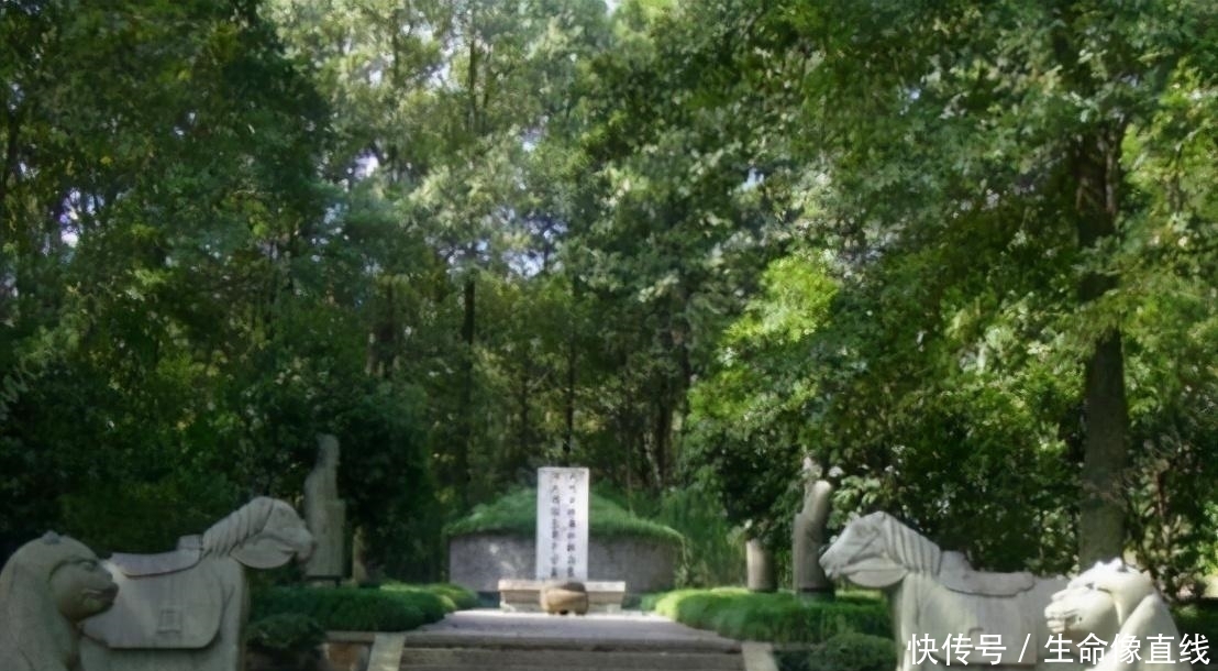 墓地|“千人挣钱,不如一人睡觉”,难道睡觉也赚钱?别理解错了