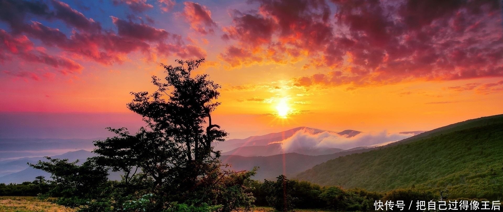 唐诗#他长相奇丑,却深受女子喜爱,一首七绝唐诗唯美伤感,冠绝古今!