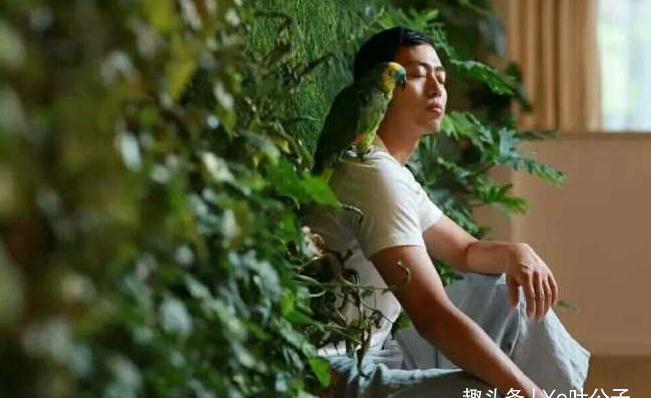 6年前,那個(gè)因《最強(qiáng)大腦》爆紅的“水哥”,現(xiàn)今過得怎么樣?