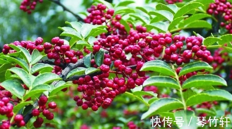 科普|每日科普：趣味冷知识分享（十二）奇怪的知识又增加啦！