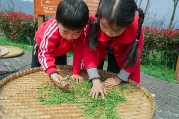 春暖花开茶飘香，我想约你去万盛，只为…