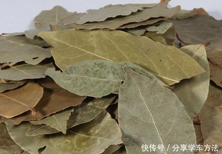 炖羊肉,这4种香料记得放,有了它们,肉汤奶白,羊肉鲜香无膻味