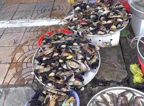  这个小摊子旁停满了车，我好奇走近看看，忍不住买了10斤！