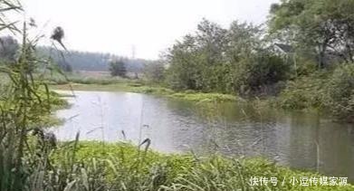 秋钓草边“三钓”、“三不钓”,用好了总有一次要爆护