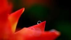 中国空间站天和核心舱发射任务成功