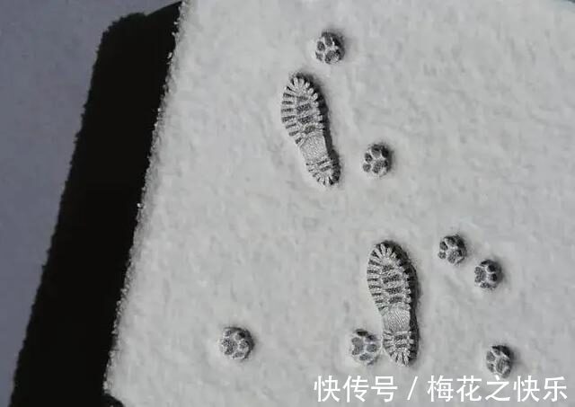 |今日段子郑渊洁教你如何不熬夜!还蛮有用的!哈哈哈哈