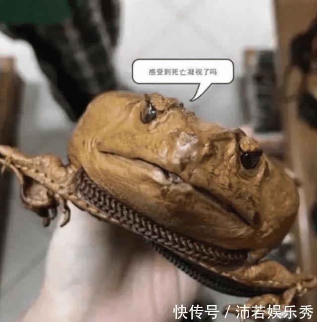 老干妈|你永远不知道你在闲鱼能看到什么，简直是打开新世界的大门