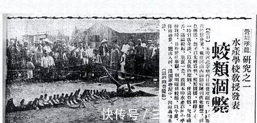 光斑@真的有龙的存在吗?