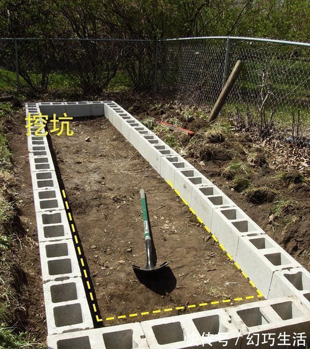 院子|光秃秃院子太浪费,农村老爸用18块空心砖,改造成人见人爱的菜园