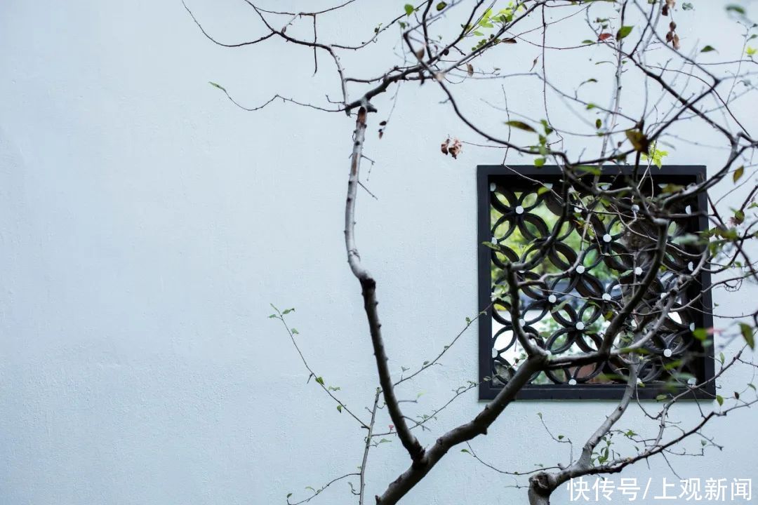  私家园林|好书·推荐丨梦回明清：江南与岭南私家园林