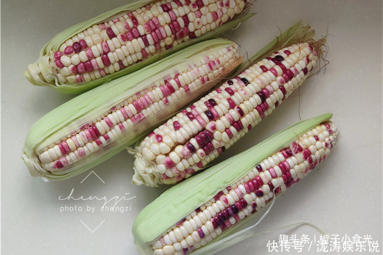 玉米|保存玉米,到底先煮后冻还是先冻后煮做对了,味道和鲜玉米一样