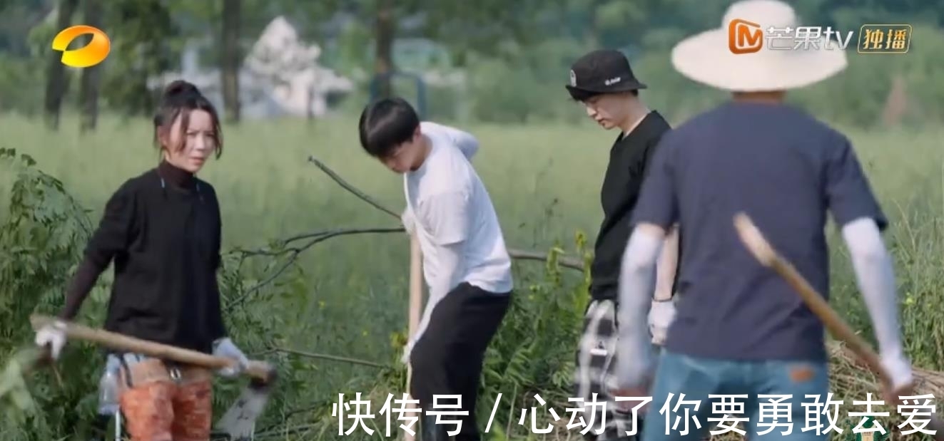 向往的生活5|《向往的生活5》集體勞動種樹,黃雅莉成功出圈,張藝興廣受好評