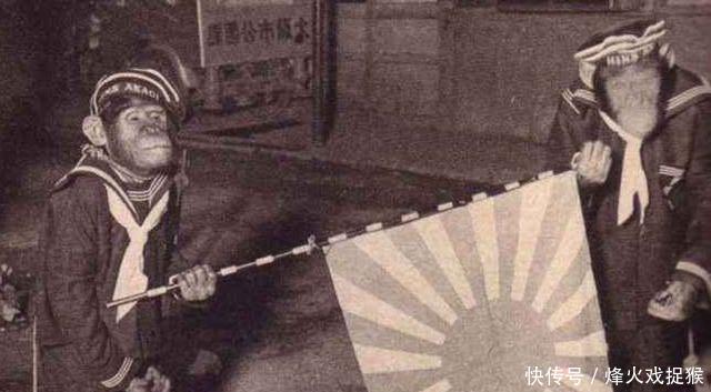 冷兵器|被猪瘟“打垮”的日本军队二战中这位将军竟命令部下吃草！