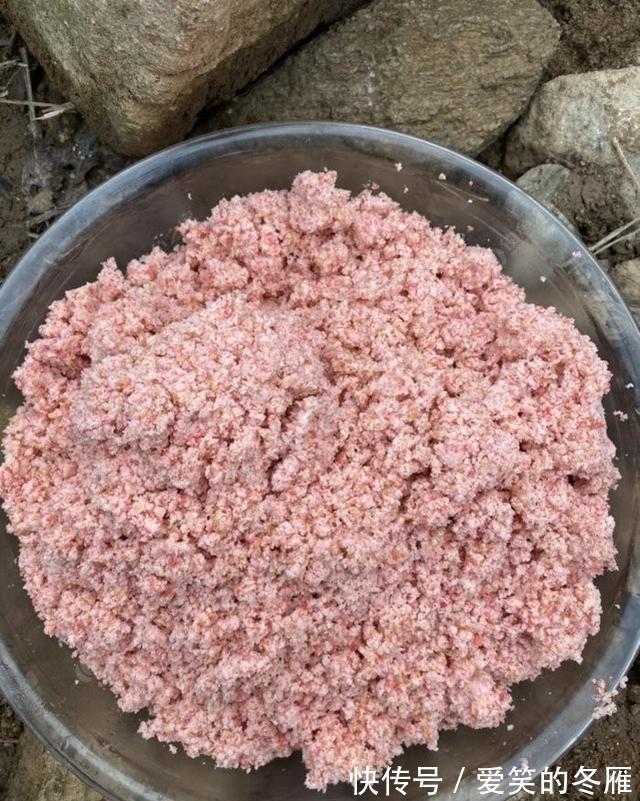 饵料|夏季做钓鲢鳙,五个大招让你变王者