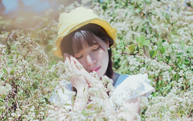 2月日 3月1日 钱财大赚 财富数不清的3大生肖 粉紫色 2月日 3月1日 钱财大赚 财富数不清的3大生肖 粉紫色