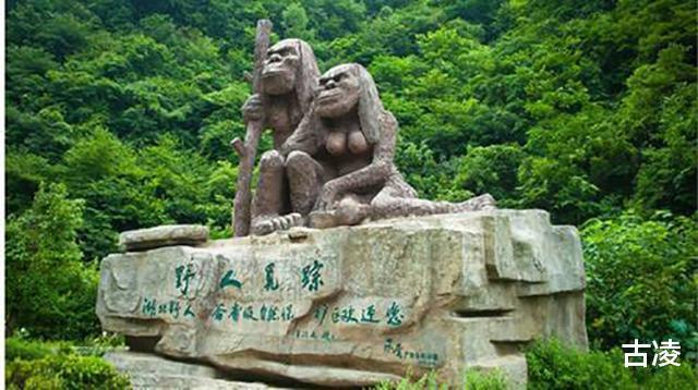 神农架到底有没有野人七八十年代,中国3次考察验证其真实性