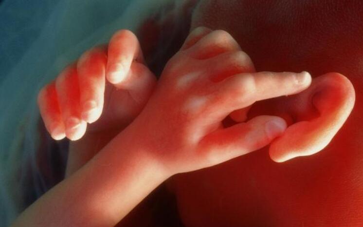 胎儿|孕妇孕期这些表现,是胎儿“高智商”的信号,赢在娘胎没问题