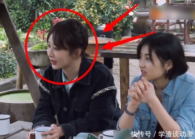 黄磊|杨紫直言是冲着吃饭来录节目的,听到黄磊的回应,整个人都不好受