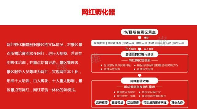 网红运营，短视频是未来主流传播模式