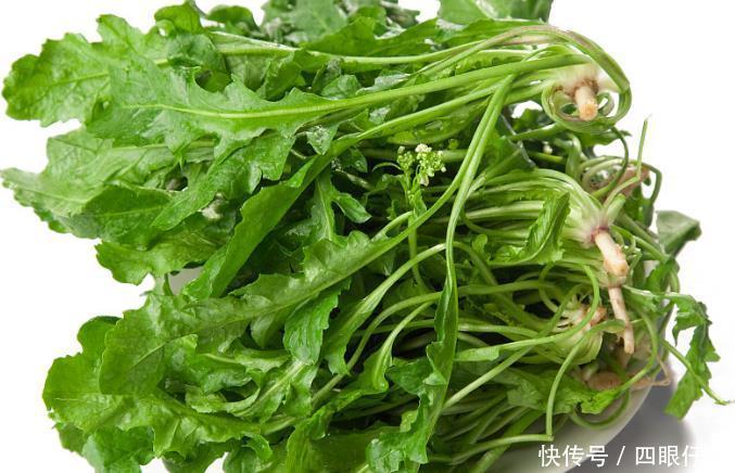 备受冷落的农村野草,古代却是治病良药,老人经常服用延年益寿