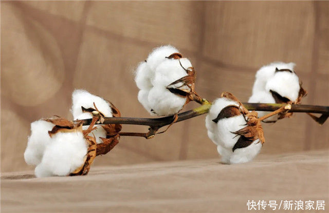 亚麻|客厅窗帘怎么选 内行人总结的4条经验 不怕选错