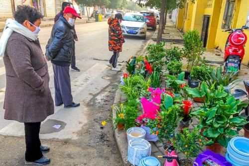 地摊上买花，该筛选掉哪些类型，避免被“背后的猫腻”欺骗？