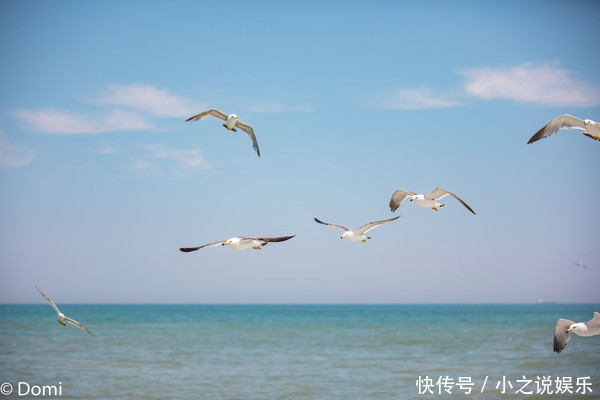 清凉夏日，拥抱星辰大海，西霞口的三天两夜之旅