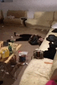 |搞笑GIF：妹子和黑人在一起后学会玩了！