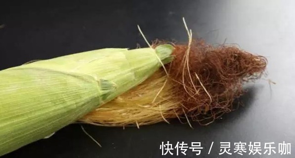 一根玉米须等于“2两金”,用来煮水是个宝,用干的还是湿的?