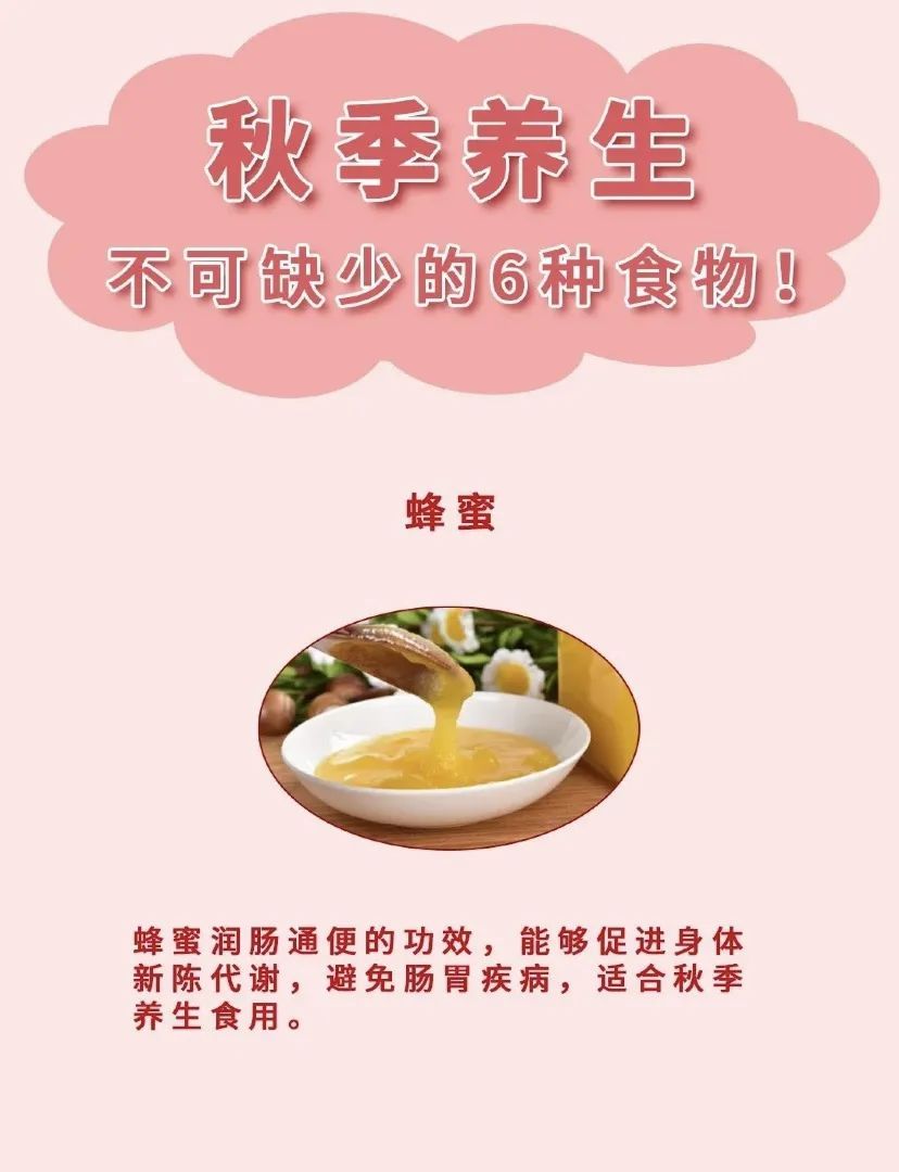 食物|秋季养生不可缺少的6种食物，赶快学起来~